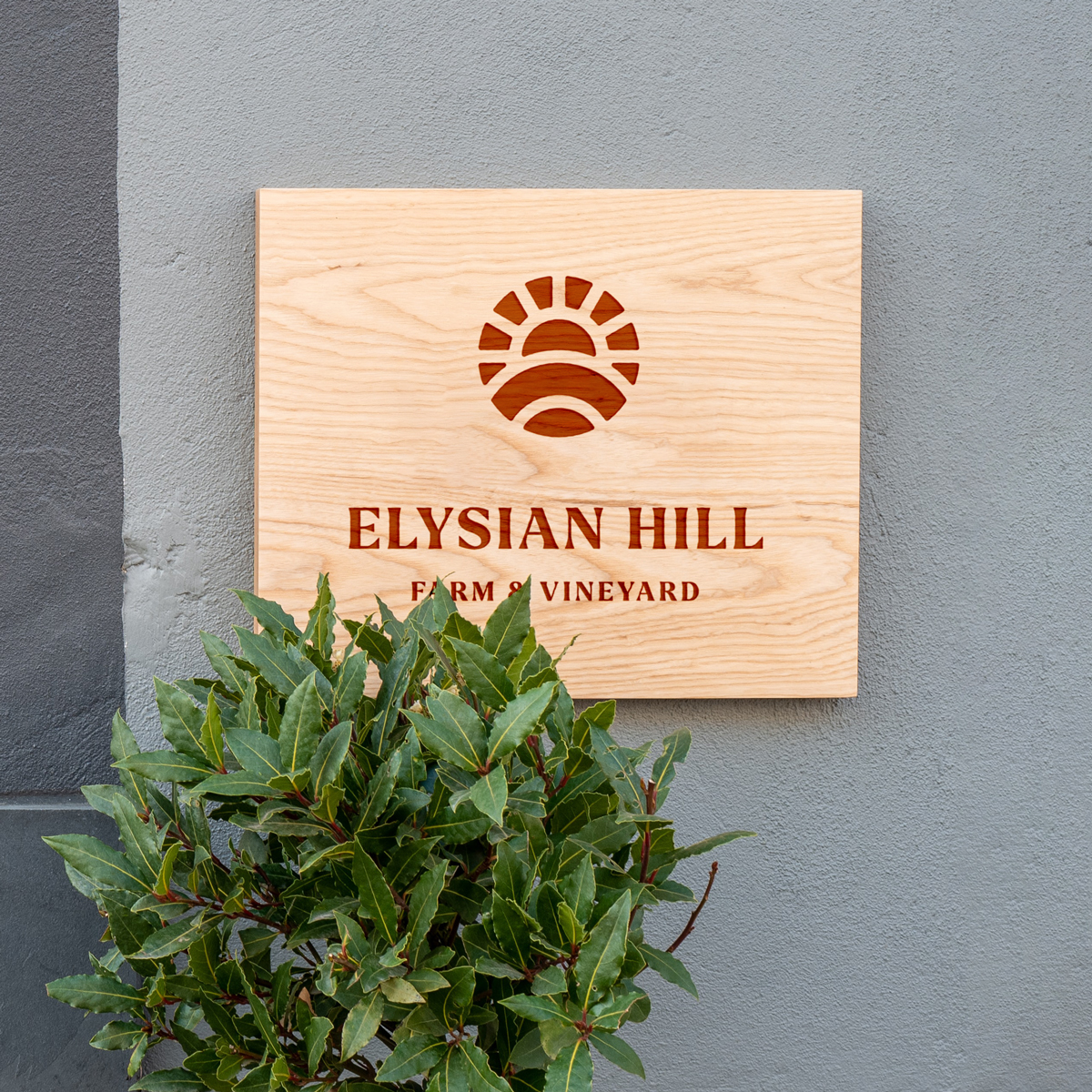 elysian 6